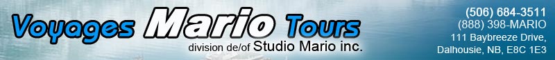 Studio Mario logo